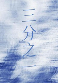 1/3是多少