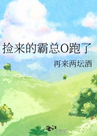 捡来的霸总o跑了晋江