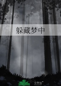 躲藏梦中TXT
