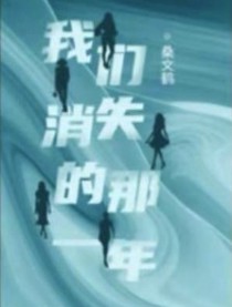 我们消失的那一年结局