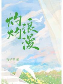 灼灼浪漫txt提取码