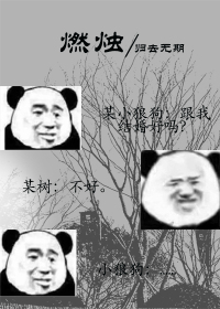 杨念念陆时深结局是什么