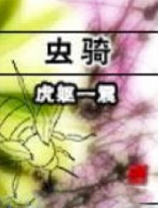 虫骑士穿越机