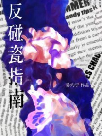 反碰瓷指南全文TXT
