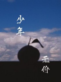 少年+无价之姐