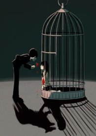 狼窝无弹窗广告