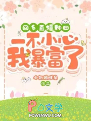 回到乡村直播间