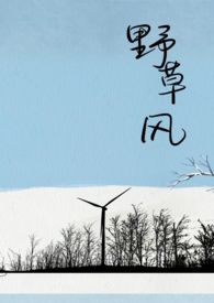 野草风by盒立