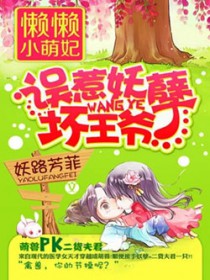 懒懒小小傻妃