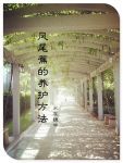 凤尾蕉的养护方法 水在镜中
