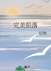 日剧完美陷阱