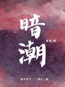 暗潮追凶