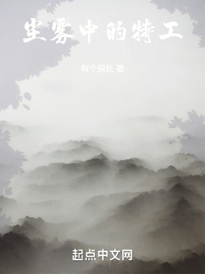 尘雾中的特工百度