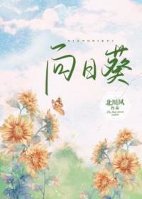 向日葵的文案