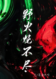 野火烧不尽文