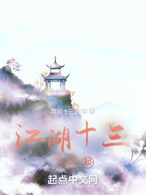 江湖十三之风起这本书怎么样