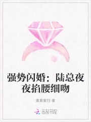 强势闪婚陆总夜夜掐腰细吻 素素紫归