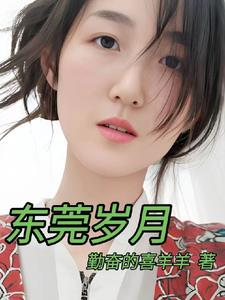 东莞岁月夏良杰免费阅读最新章节