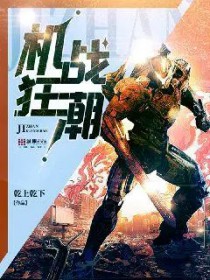 机战狂潮游戏