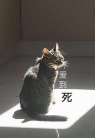 爱到死在线观看