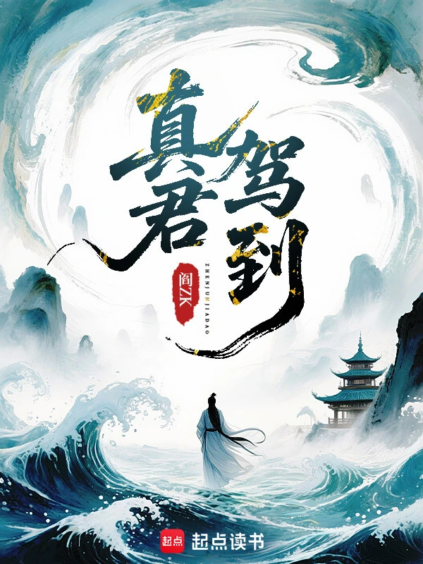 真君驾到txt免费阅读