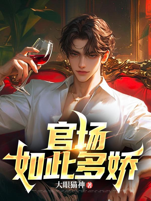 官场如此多娇 第11章