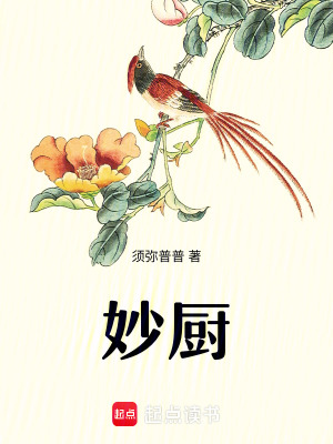 妙厨 免费阅读