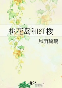 桃花岛和红楼书包