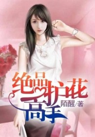 绝品护花保镖百度百科