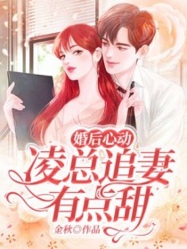 总裁的天价弃妻
