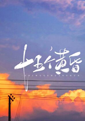 十五个黄昏讲什么