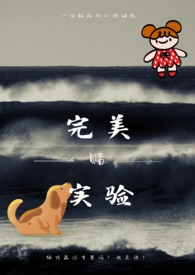 完美实验April
