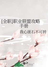 英雄联盟全职高手