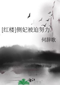红楼 侧妃被迫努力
