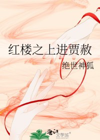 红楼贾赦衍生