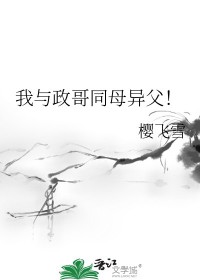 我与政敌清清白白