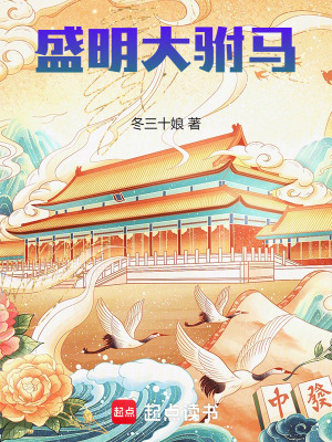 大明驸马传gl