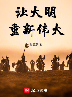 大明的伟大舵手