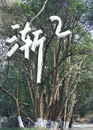 渐渐的造句