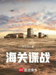 海关辑私电视剧