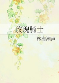玫瑰骑士电视剧免费观看完整版