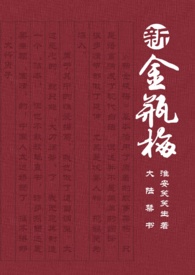 新金瓶梅不能看吗