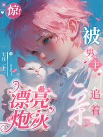 漂亮炮灰的男主