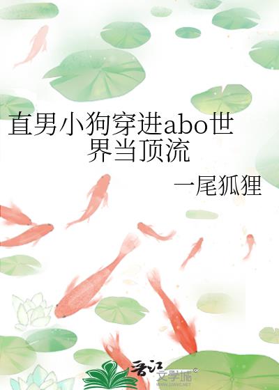 直男穿到言情