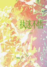 执迷不悟阅读