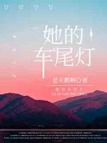 她的车尾灯[公路