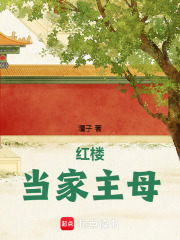 红楼当家太太