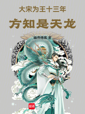 大宋为王十三年方知是天龙TXT