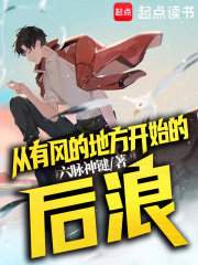 从有风的地方开始的后浪免费观看