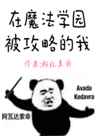 我在魔法学院任教